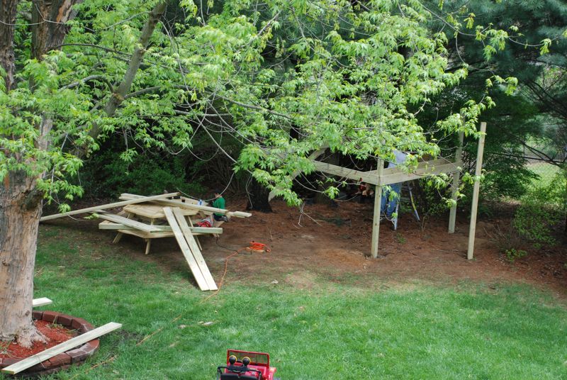 Treehouse08.jpg