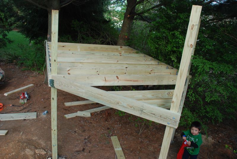 Treehouse13.jpg