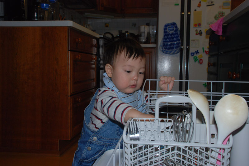 dishwasher04.jpg
