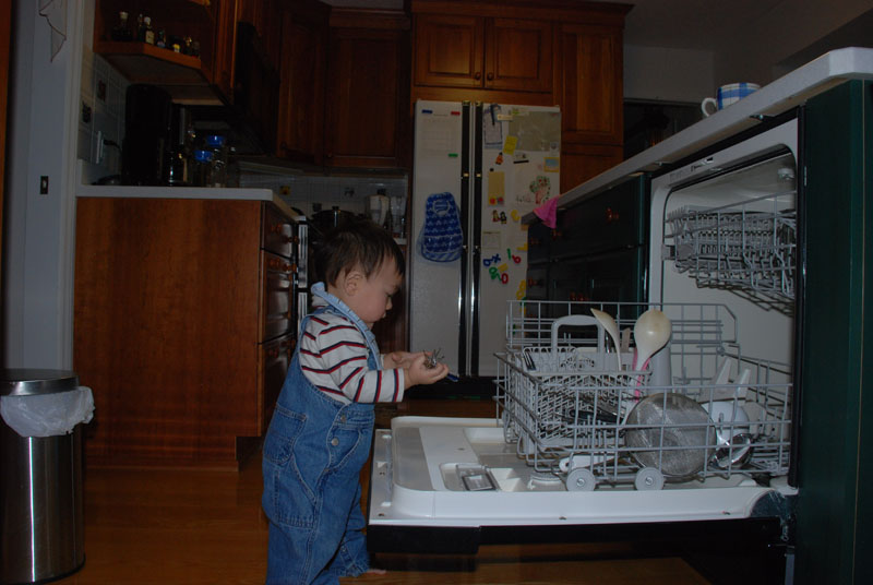 dishwasher02.jpg