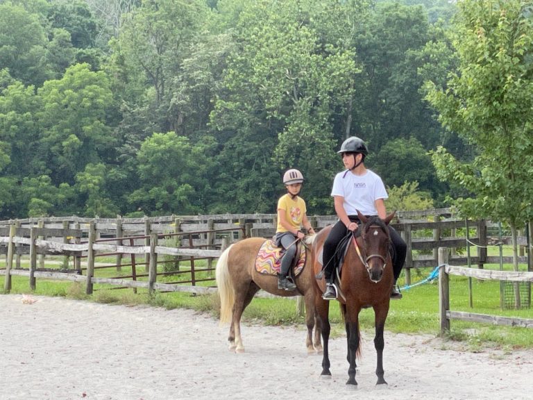 다섯 번 째 승마레슨