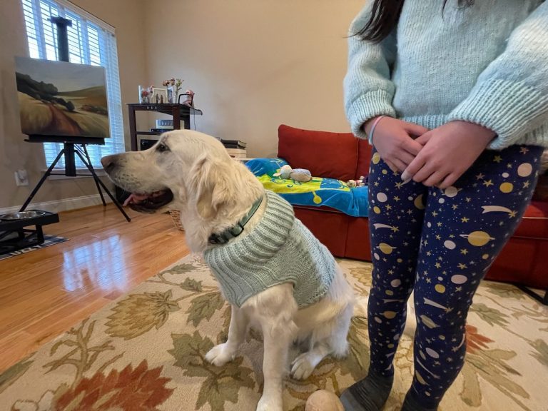 뜨개질 소품 몇 가지 더