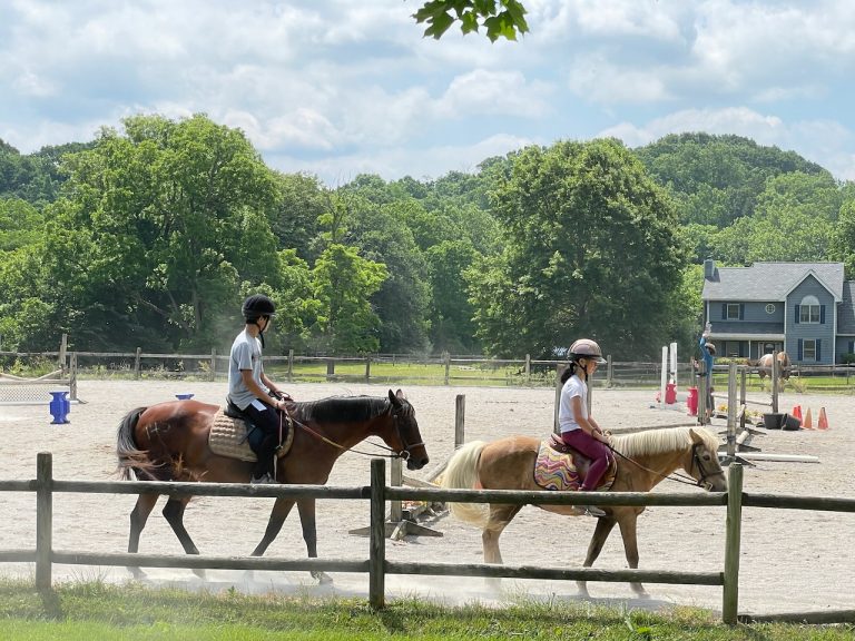 테니스, 플라잉 요가, 승마, 이것저것 다해보는 여름방학