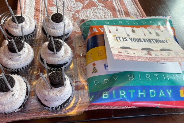 코난군의 생일과 김장 기록