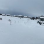 지난 2주 동안의 추위와 눈