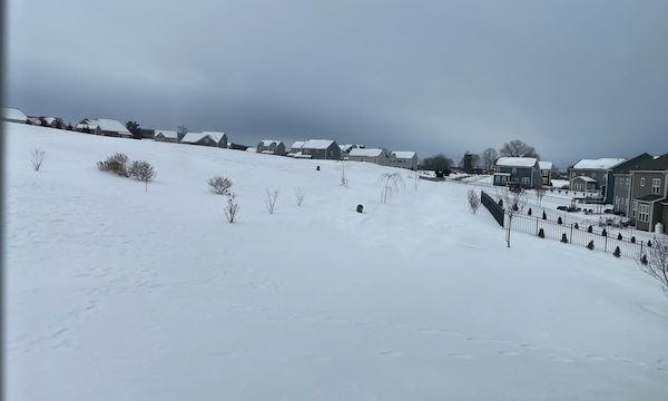 지난 2주 동안의 추위와 눈